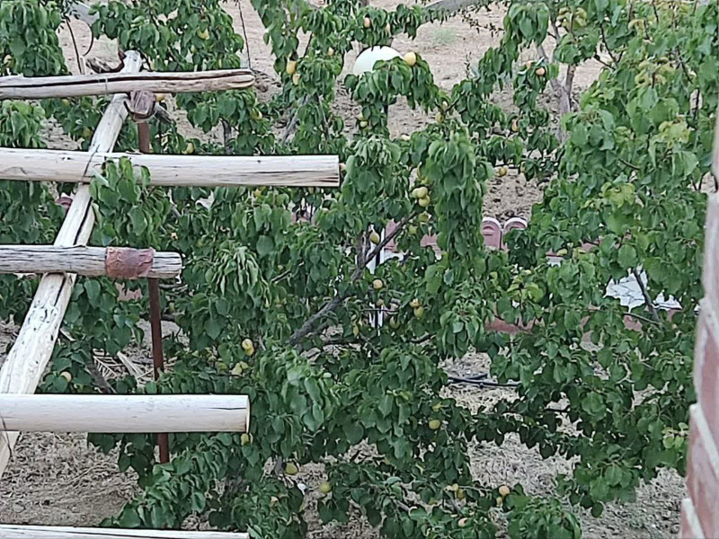 ویلا 85 متری در ششتمد سبزوار