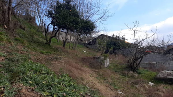 ویلا 1200 متری در سواد کوه