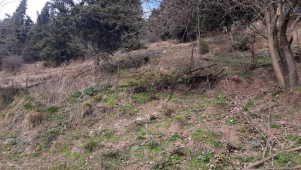 ویلا 1200 متری در سواد کوه