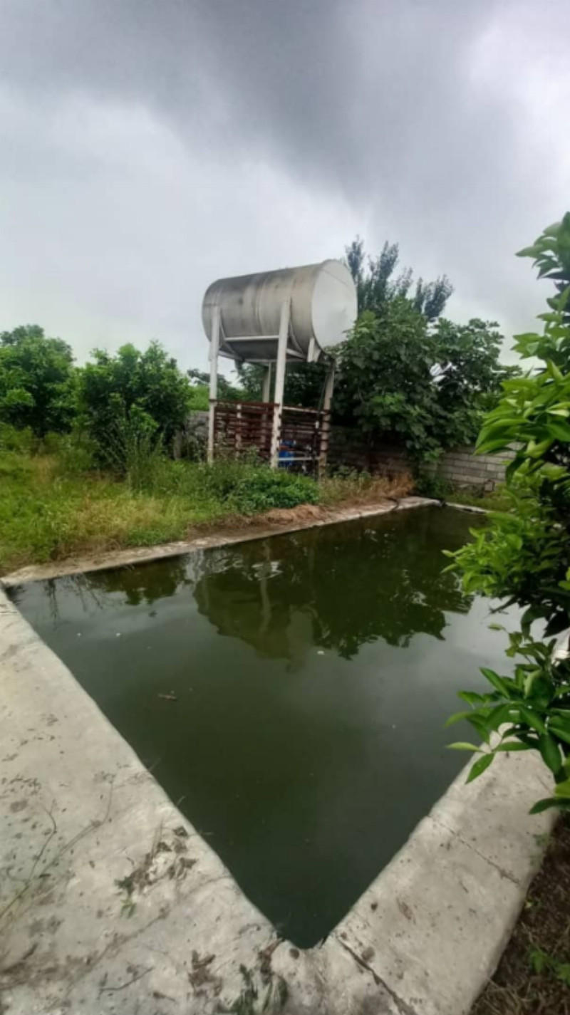 باغ 4300 متری در امامزاده عبدالله آمل