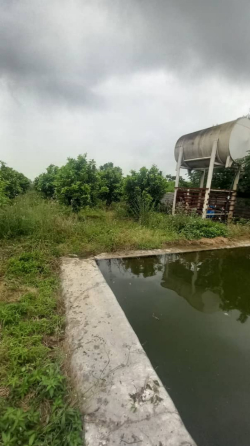 باغ 4300 متری در امامزاده عبدالله آمل