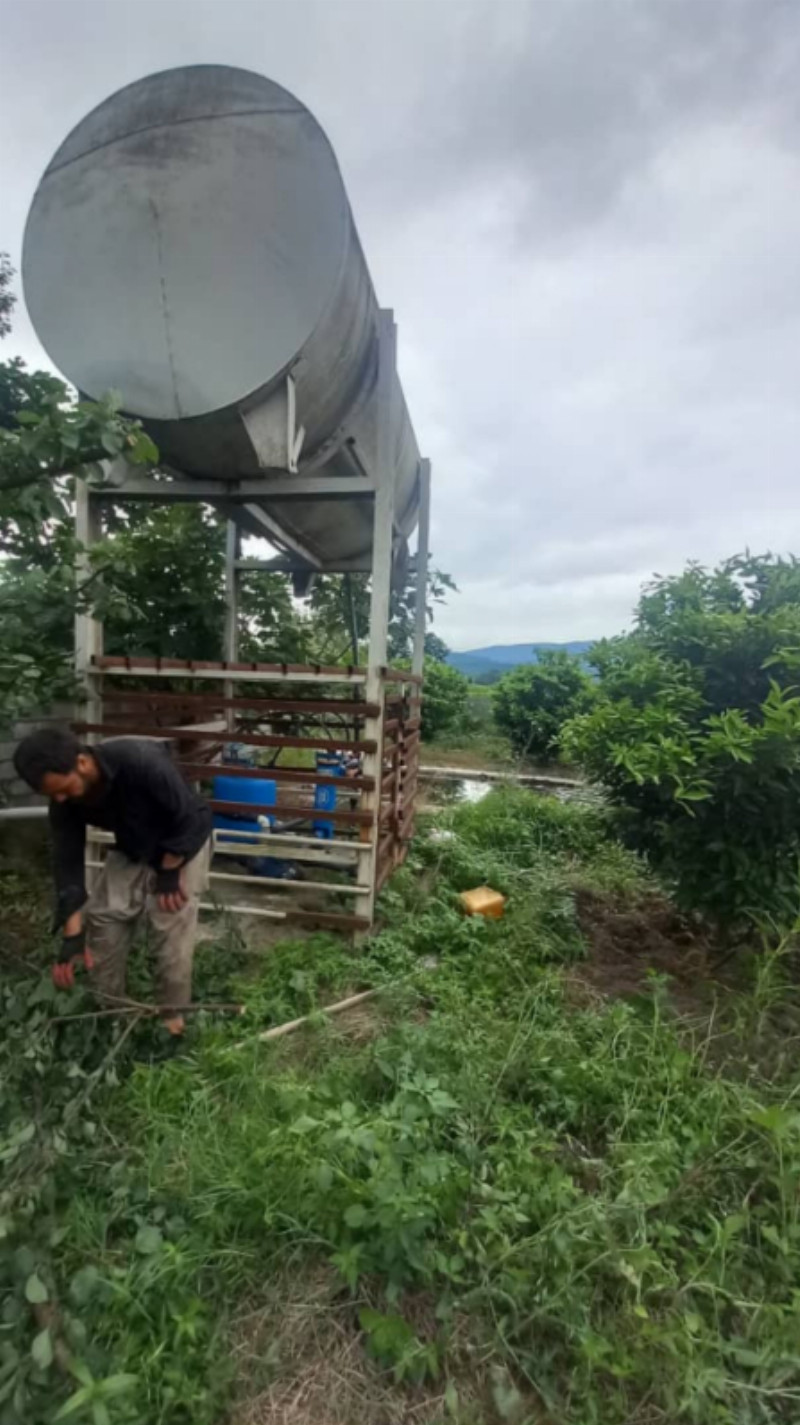 باغ 4300 متری در امامزاده عبدالله آمل