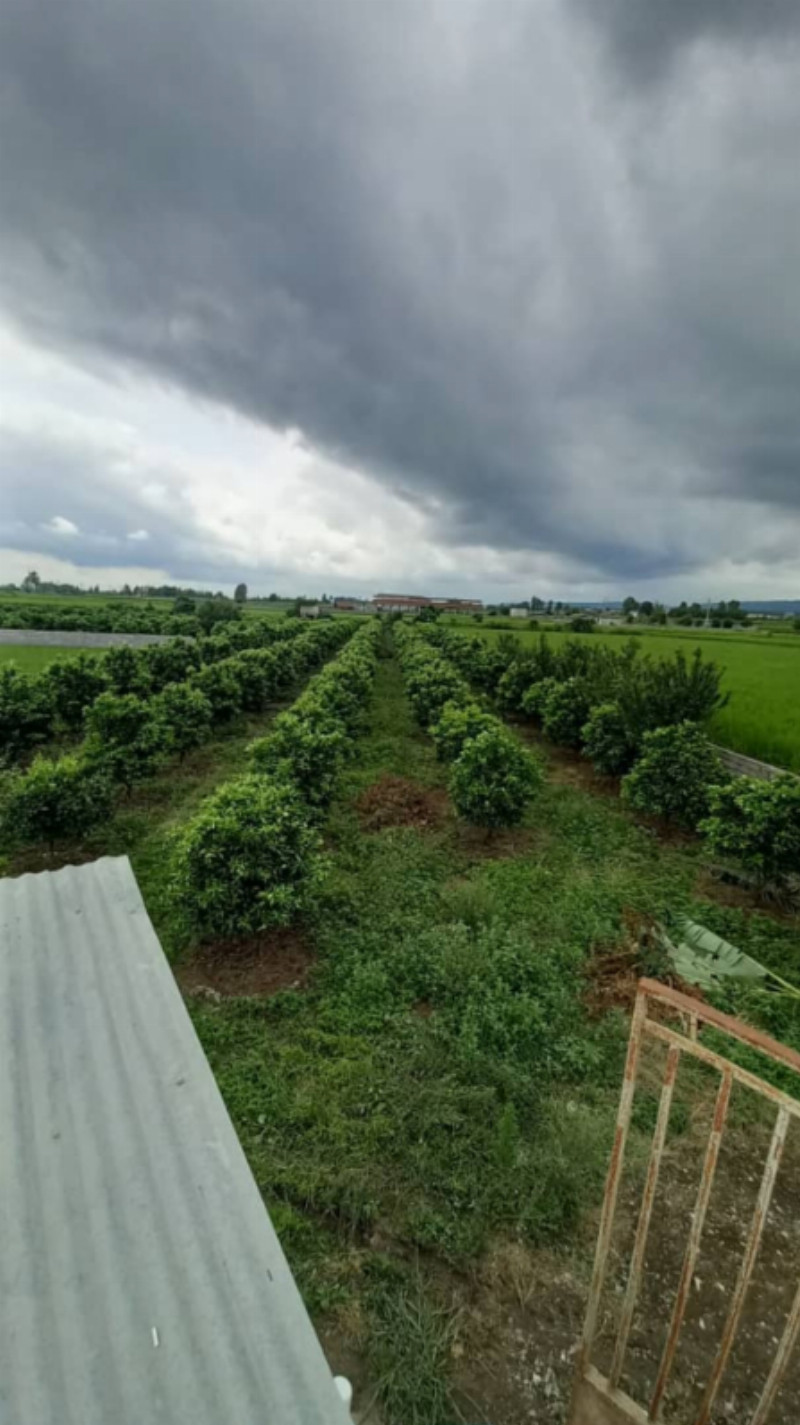 باغ 4300 متری در امامزاده عبدالله آمل