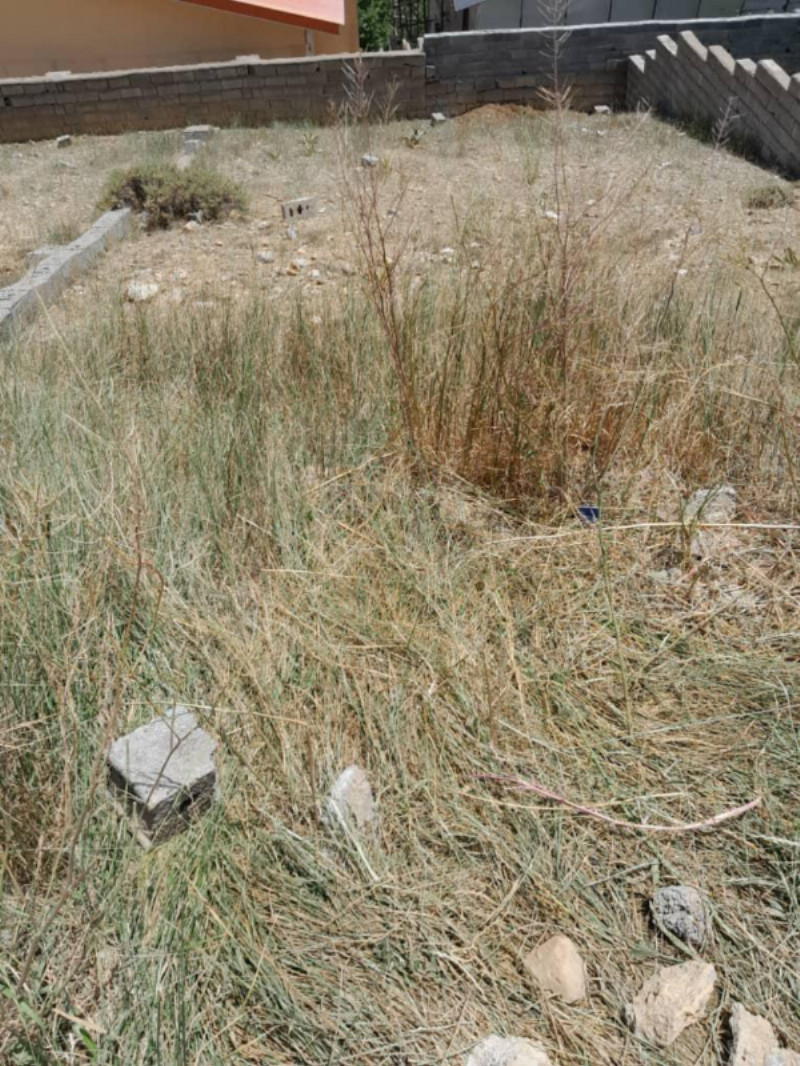 زمین 170 متری در آمل