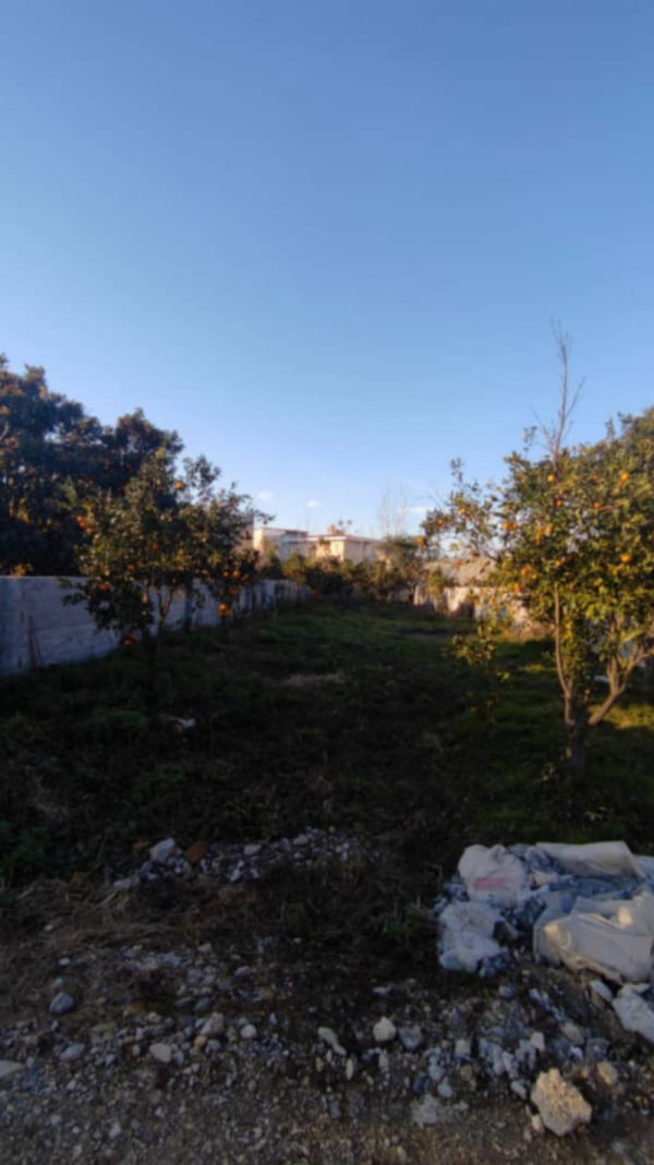 باغ 530 متری در آمل