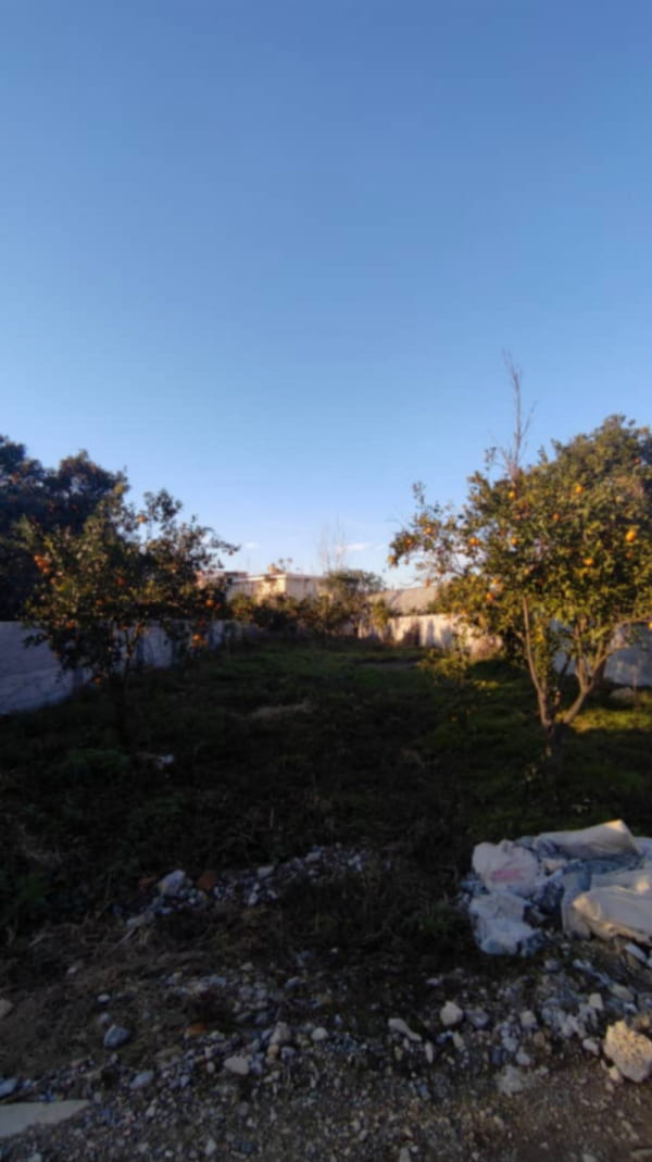 باغ 530 متری در آمل