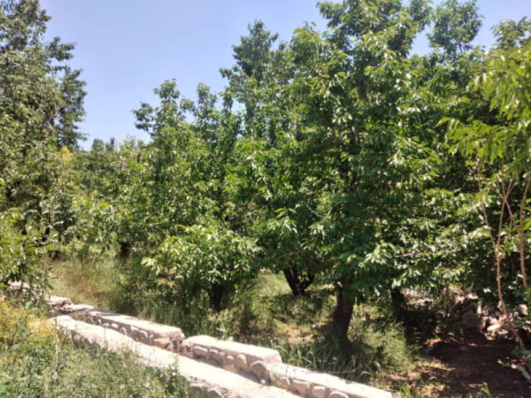 باغ 1760 متری در اغشت کرج