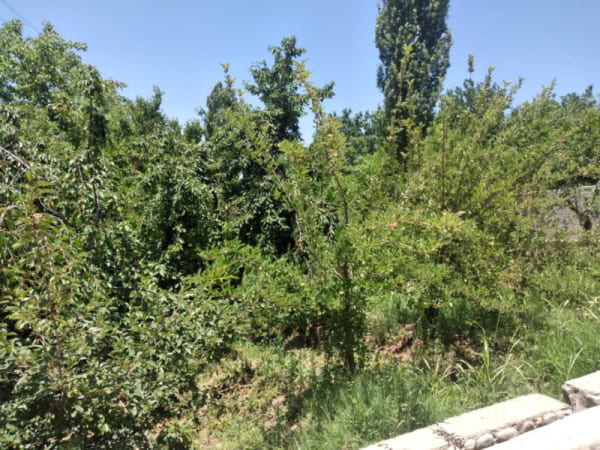 باغ 1760 متری در اغشت کرج
