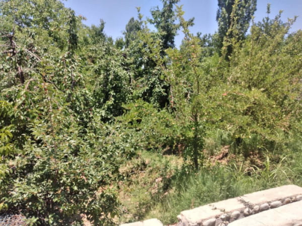 باغ 1760 متری در اغشت کرج