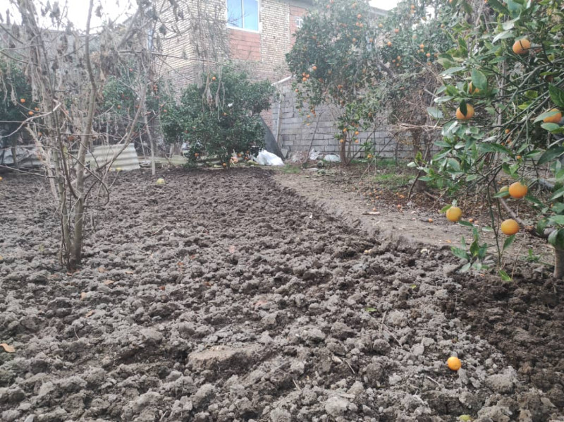 باغ 240 متری در آمل