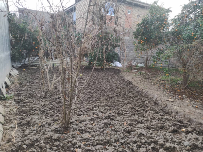 باغ 240 متری در آمل