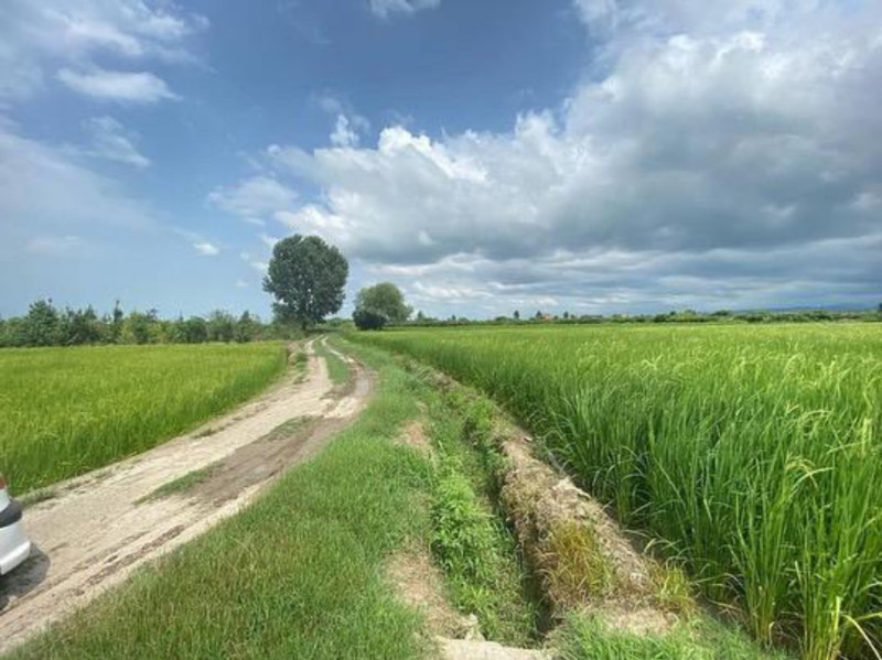 زمین 2550 متری در آمل