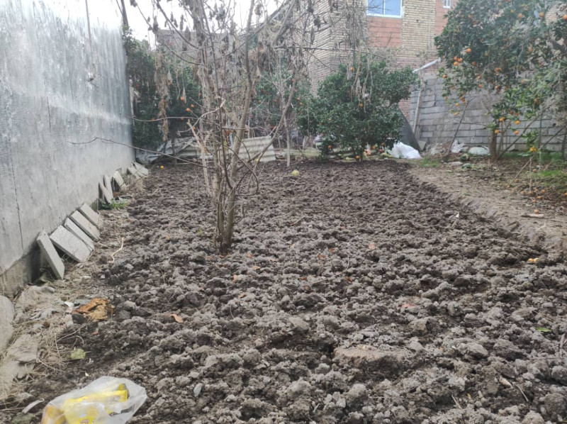 باغ 240 متری در آمل