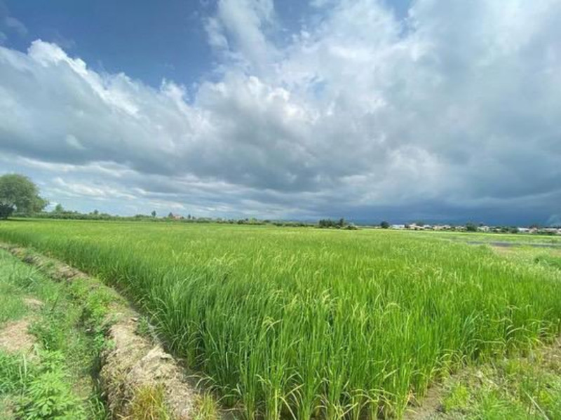 زمین 2550 متری در آمل