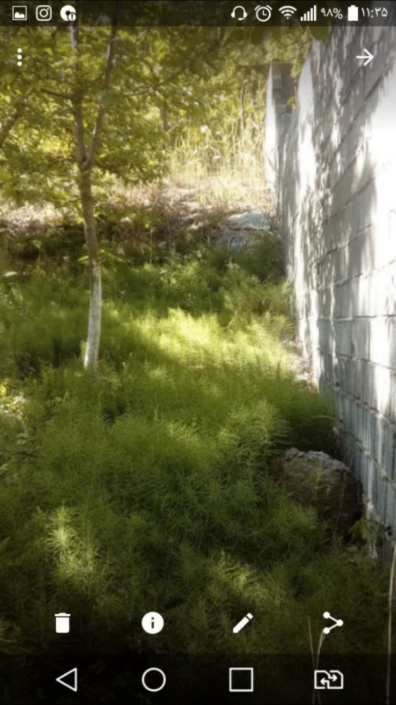 باغ 1500 متری در لاریجان آمل