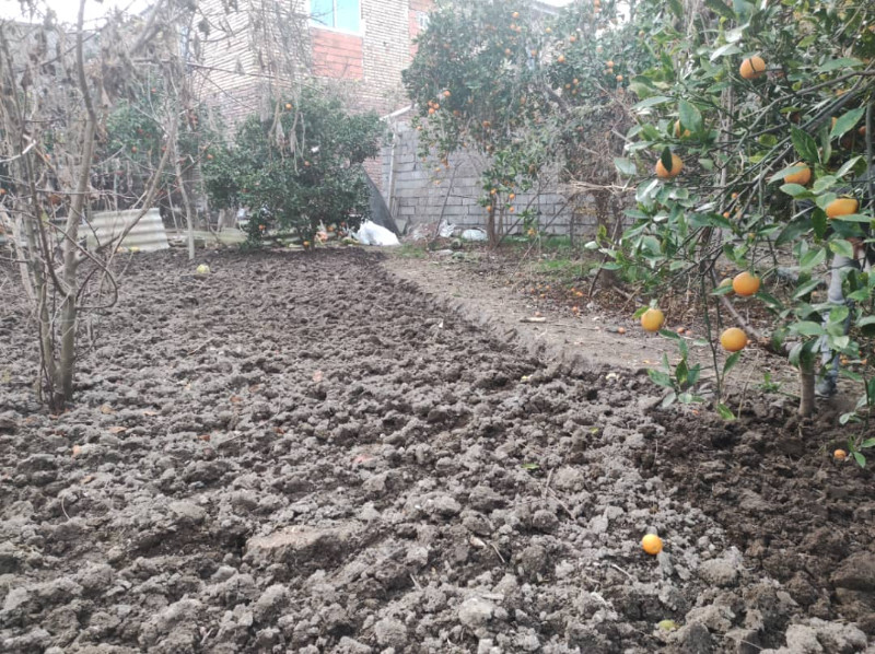 باغ 240 متری در آمل