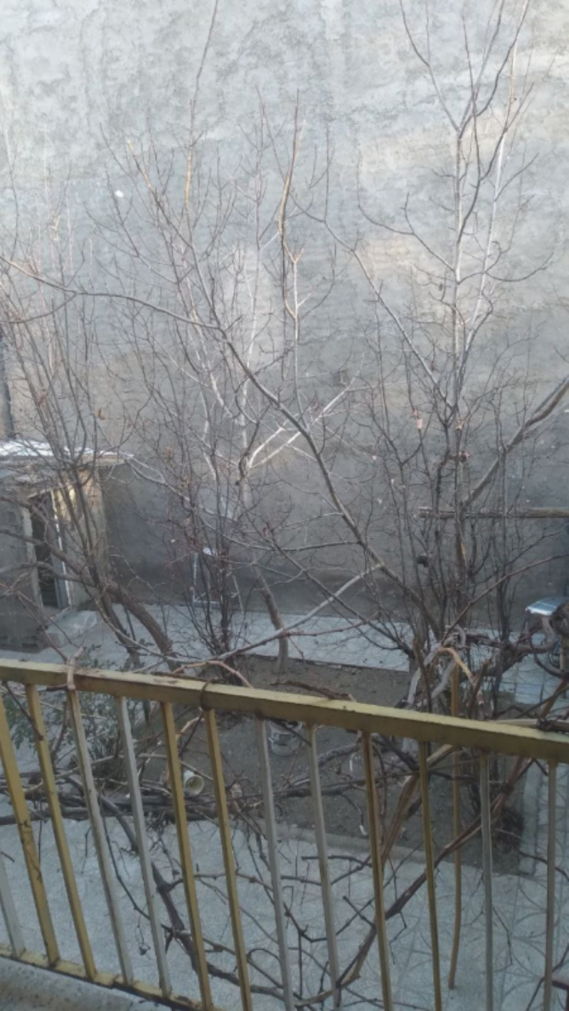 ویلا 270 متری دو خوابه در ملایر