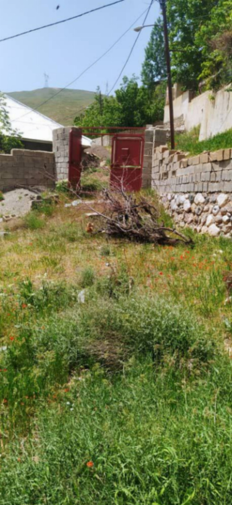 زمین 250 متری در وشته طالقان