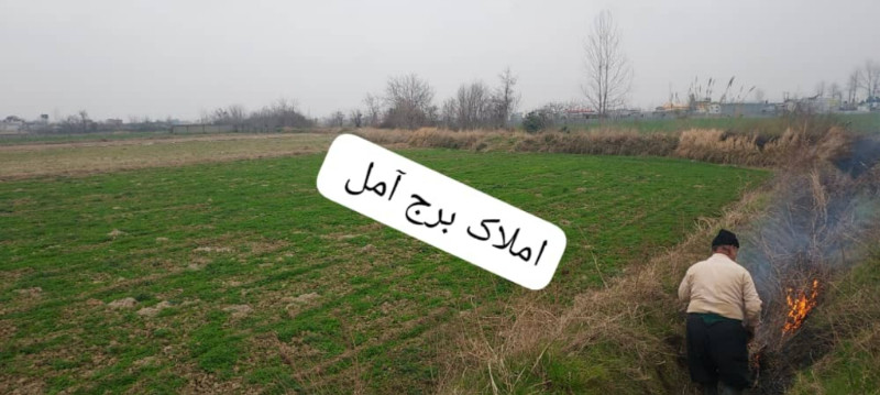 زمین 2000 متری در آمل