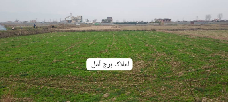 زمین 2000 متری در آمل
