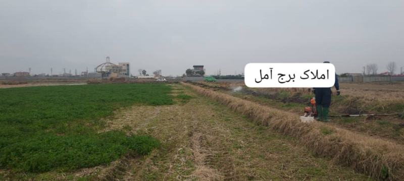 زمین 2000 متری در آمل