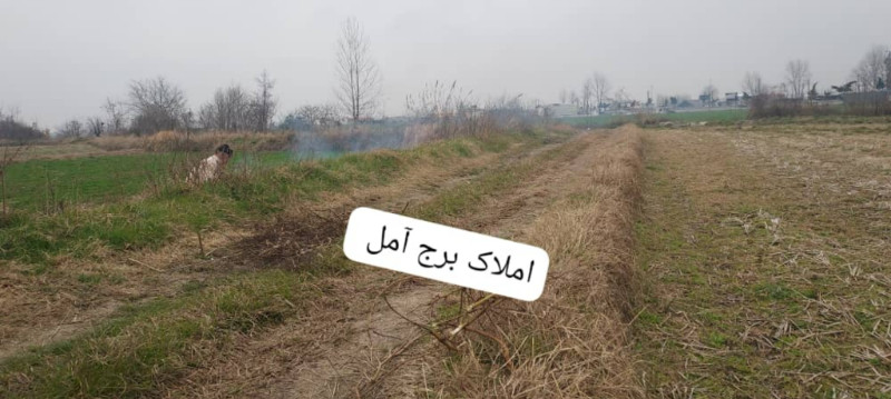 زمین 2000 متری در آمل