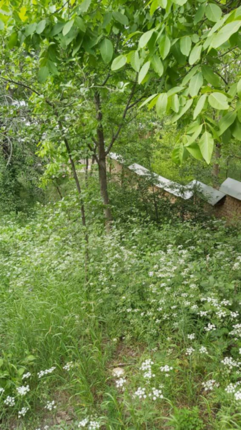 زمین 310 متری در فشندک طالقان