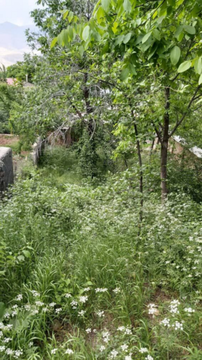 زمین 310 متری در فشندک طالقان