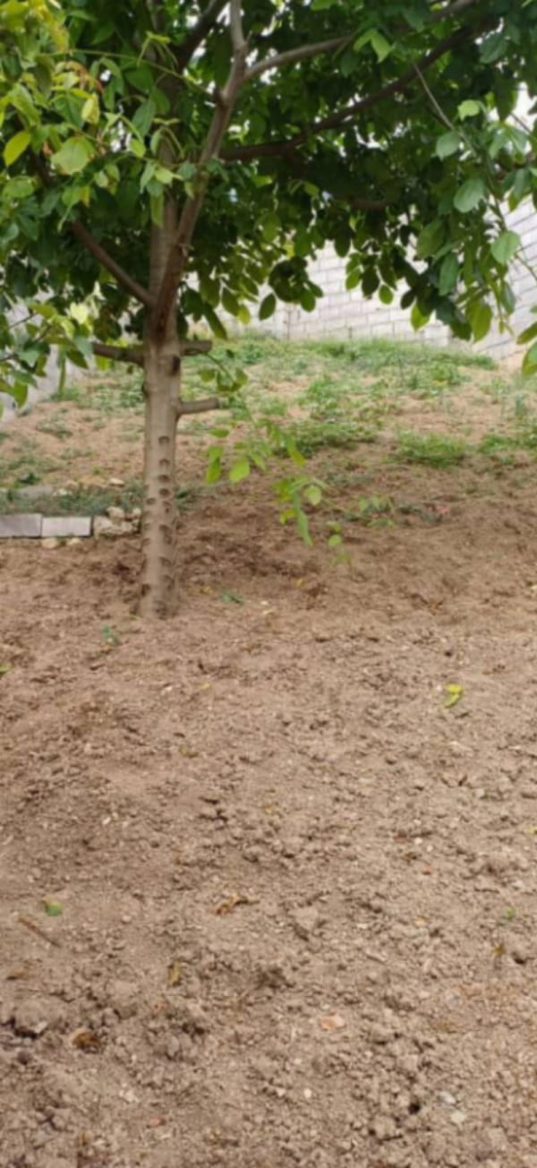 خانه 287 متری در چلاو آمل
