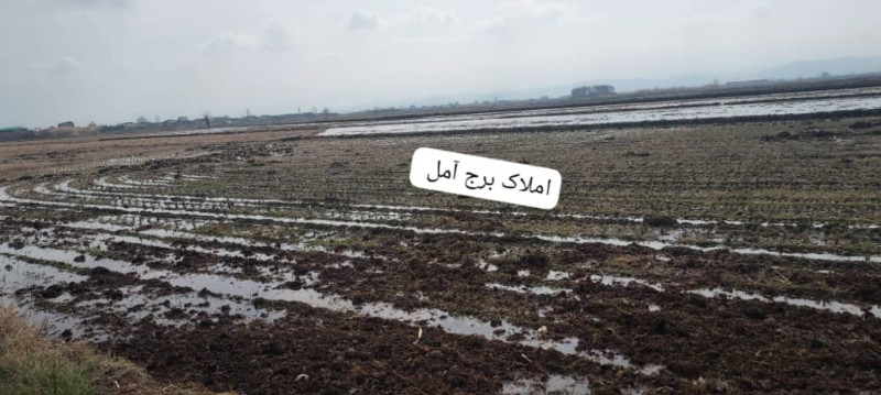 زمین 2000 متری در آمل