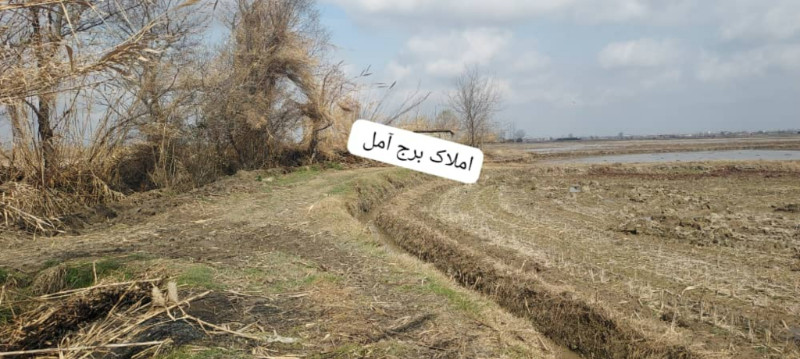 زمین 2000 متری در آمل