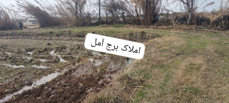 زمین 2000 متری در آمل