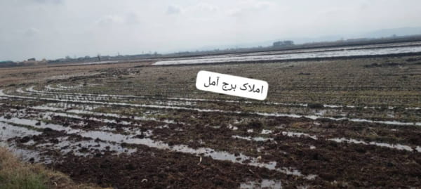 زمین 2000 متری در آمل