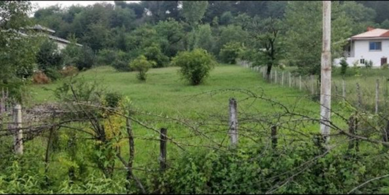 زمین 2262 متری در مرکیه ماسال