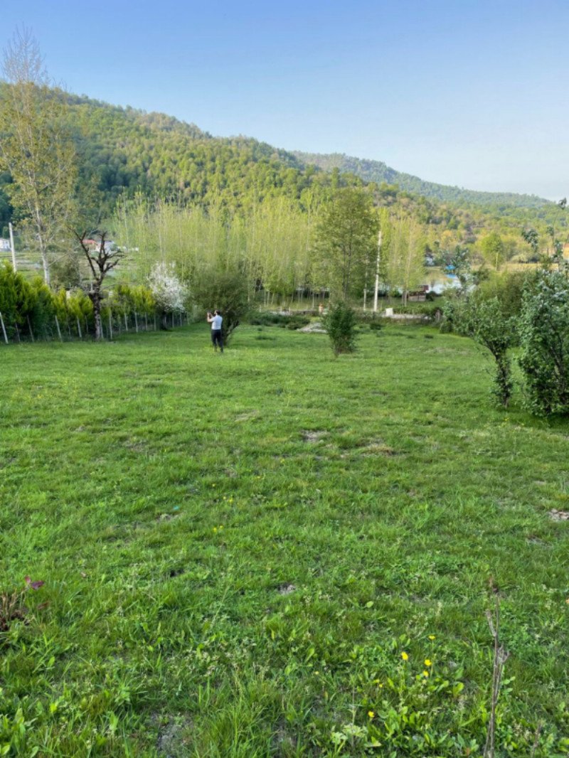 زمین 2262 متری در مرکیه ماسال