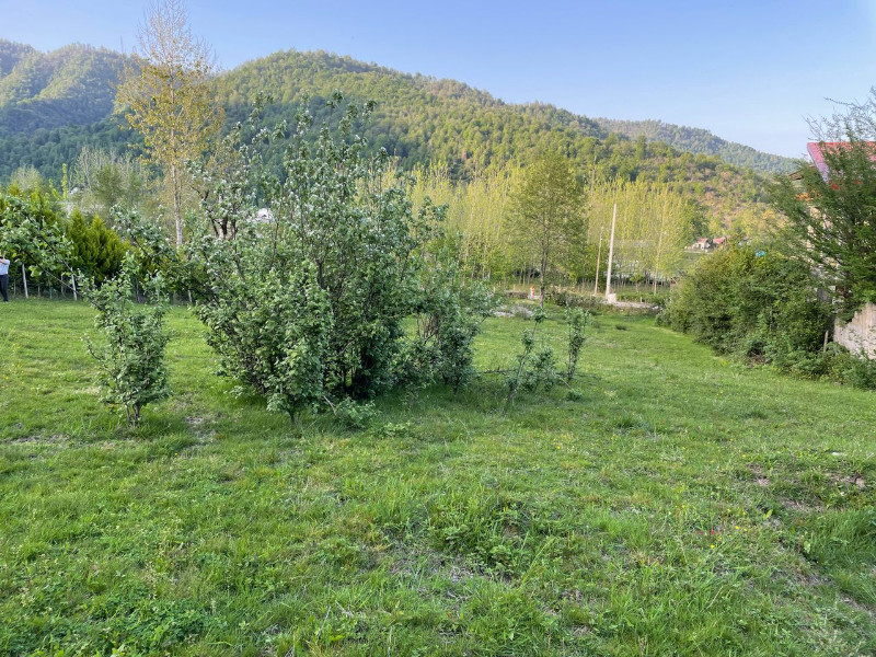 زمین 2262 متری در مرکیه ماسال