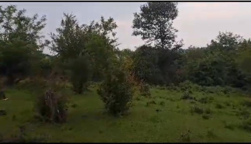 زمین 715 متری در روستای رزین دول ماسال