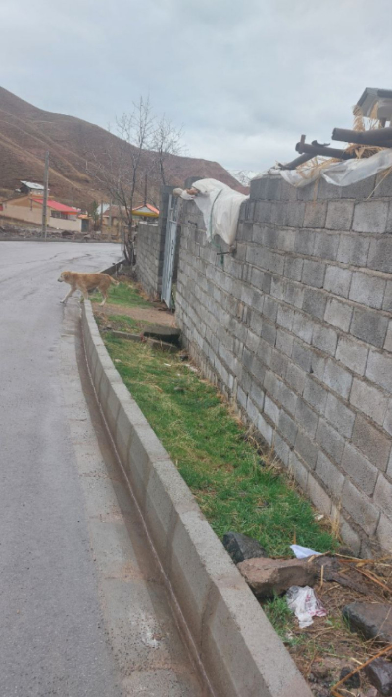 زمین 450 متری در خسبان طالقان