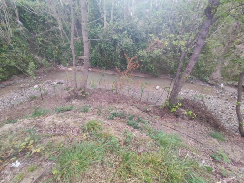 باغ 1300 متری در فیروز کلا آمل