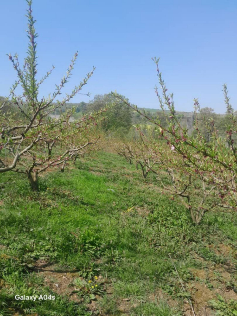 ویلا 120 متری چهارخوابه در ساری