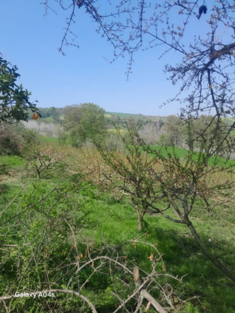 ویلا 120 متری چهارخوابه در ساری