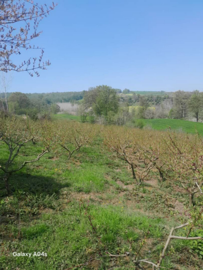 ویلا 120 متری چهارخوابه در ساری