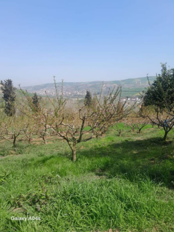 ویلا 120 متری چهارخوابه در ساری
