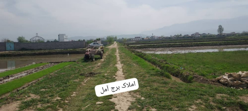 زمین 1800 متری در روستای کنسی آمل