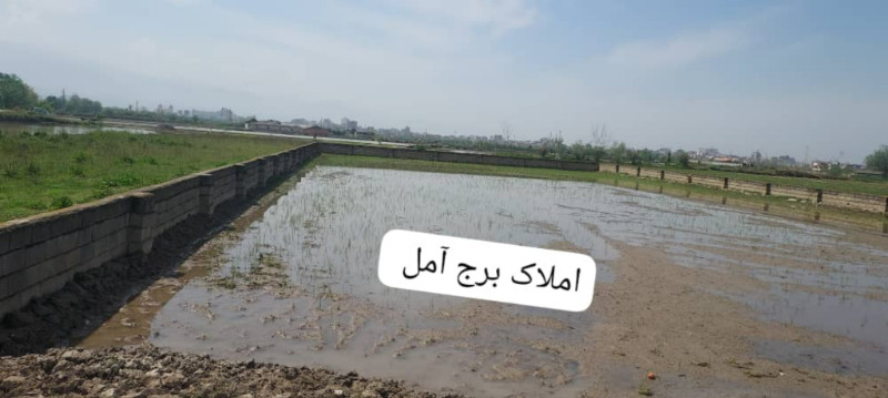 زمین 1800 متری در روستای کنسی آمل