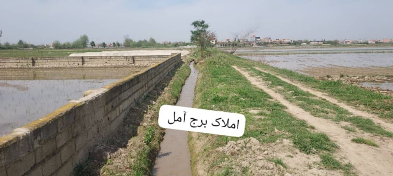 زمین 1800 متری در روستای کنسی آمل