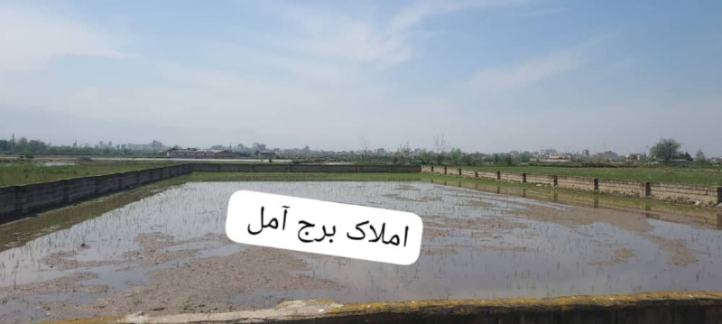 زمین 1800 متری در روستای کنسی آمل