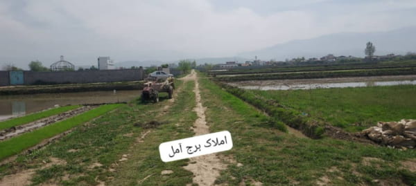 زمین 1800 متری در روستای کنسی آمل