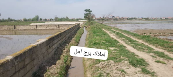 زمین 1800 متری در روستای کنسی آمل