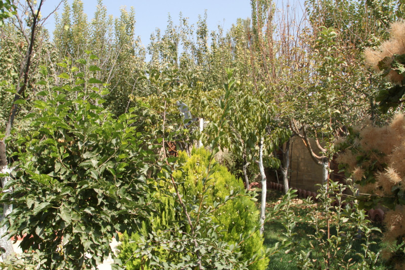 باغ 300 متری دو خوابه در خیابان گنجوی هشتگرد